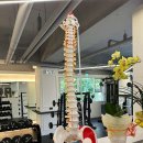 장산부부한의원 이미지