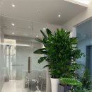 소망피부과의원 이미지