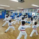 용인대 활기찬 태권도장 이미지