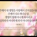 오늘의 '영어성경 사진'(850강) “죽음에서 나를 구원해오신 하나님”(시편 56편 13절) 이미지