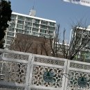 크로스핏 제스트 수지 | 2026 SPOEX 다녀오다｜코엑스 피트니스 박람회