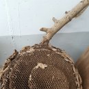 연담농장 이미지