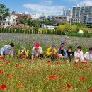 봄소풍 - 울산태화강국가정원, 대나무십리길(2024.05.28) 이미지