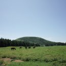 만남목장 이미지