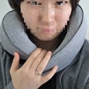 리빙미미 목베개 (360도) 내 돈 내산 후기