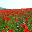 한경대학교부속농장 이미지