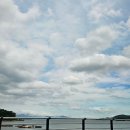 하동편백나무민박 | 하동맛집 :: 신선한 회와 물회가 맛있는 &#39;풍년횟집&#39;