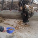 태임농장 이미지