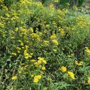 관악산 자연학습장 화장실 이미지