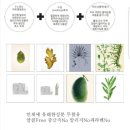 도나컨시어지 이미지