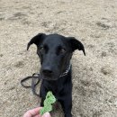 에이블덴탈 이미지