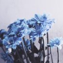 세온행정사사무소