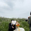 4월 제주도스냅촬영 장소 비용 준비물 등 꽉꽉채운 촬영후기 (안친오름 촬영 후기)