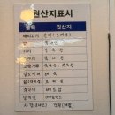 한국피자헛속초교동점 | 속초감자탕 조프로뼈구이감자탕