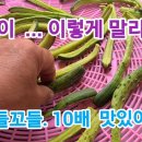 한식 30년이상 맛집 할머니가 알려주신, &#39;오이 장아찌&#39; 황금 레시피 이미지