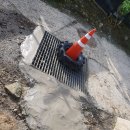 맨홀 뚜껑 작업후 이식용 약초 확인 이미지