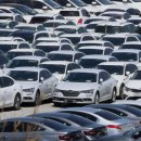 엠티렌터카 이미지