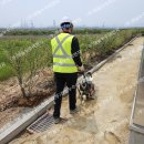 고하도안길 이미지