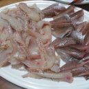 제주집2011
