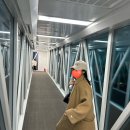 하이앤드 피티팟 | [일상] #1 Jan, 기록이 쌓이면 뭐든 된다