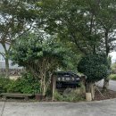 오름나그네 | 제주도 오름나그네 보말칼국수 맛집