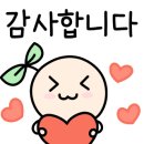과일에진심을담다 이미지
