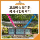 봉서사 | [서천군SNS서포터즈] 고요함 속 활기찬 ‘봉서사’ 힐링 후기