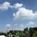 코코애월 이미지