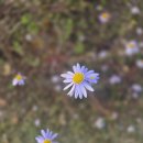 백운로 | 의왕 백운호수 카페 그린플래그 방문후기/뷰맛집 주차 및 운영시간 총정리