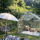 메리지아레 이미지