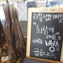 리틀냅