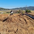 하점면-4 이미지