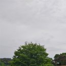 능산리 고분군 포토존 이미지