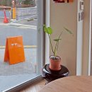 신우빌딩 앞 이미지