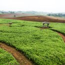 안현농장 이미지