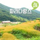 파라다랑스