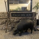 casa de jeju 네이버블로그