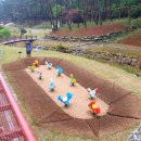 솔향공원 소나무전시관 이미지