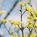 양평산수유펜션 이미지