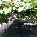 자이사랑어린이집 이미지