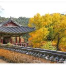 관룡사 앞 이미지