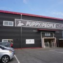 퍼피플 오산점 | 오산 애견동반 애견까페, 애견유치원 | 퍼피플 강아지 유치원 내돈내산 솔직후기