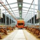 쑥쑥한우농장 이미지