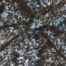 세븐일레븐(거제하청점) | 거제도펜션추천 힐스토리풀빌라 아이들이랑 가기 아주 딱