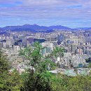 우면산3-24 이미지