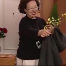노송오재