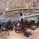 휘트니스풀바디 이미지