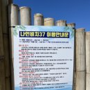 나인비치37 이미지