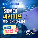 180 | 부산 아이와 가볼만한곳 해운대 씨라이프 부산 아쿠아리움 입장권 할인 후기
