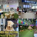 세븐일레븐 광주하남중앙점 | [광주 키즈다쿵 하남점 후기]겨울방학 맞이 광주 키즈카페 도장깨기중!